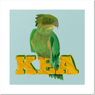 Kea New Zealand native bird Posters and Art